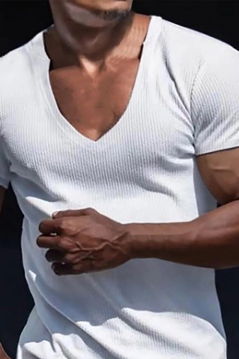 Мъжка тениска LERONLI WHITE, Цвят: бял, IVET.BG - Твоят онлайн бутик.