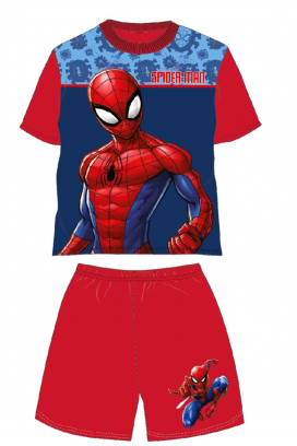 комплект PAYAN RED