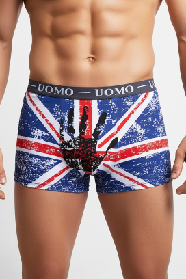 мъжки боксерки BRITIZO GREY