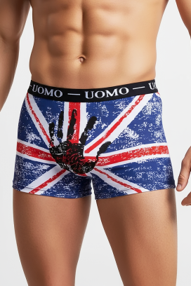 мъжки боксерки BRITIZO BLACK